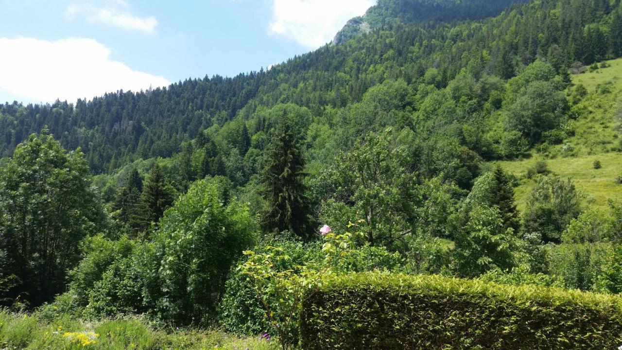 Saint-Pierre-d'Entremont Le Postillon - Duoアパートメント エクステリア 写真